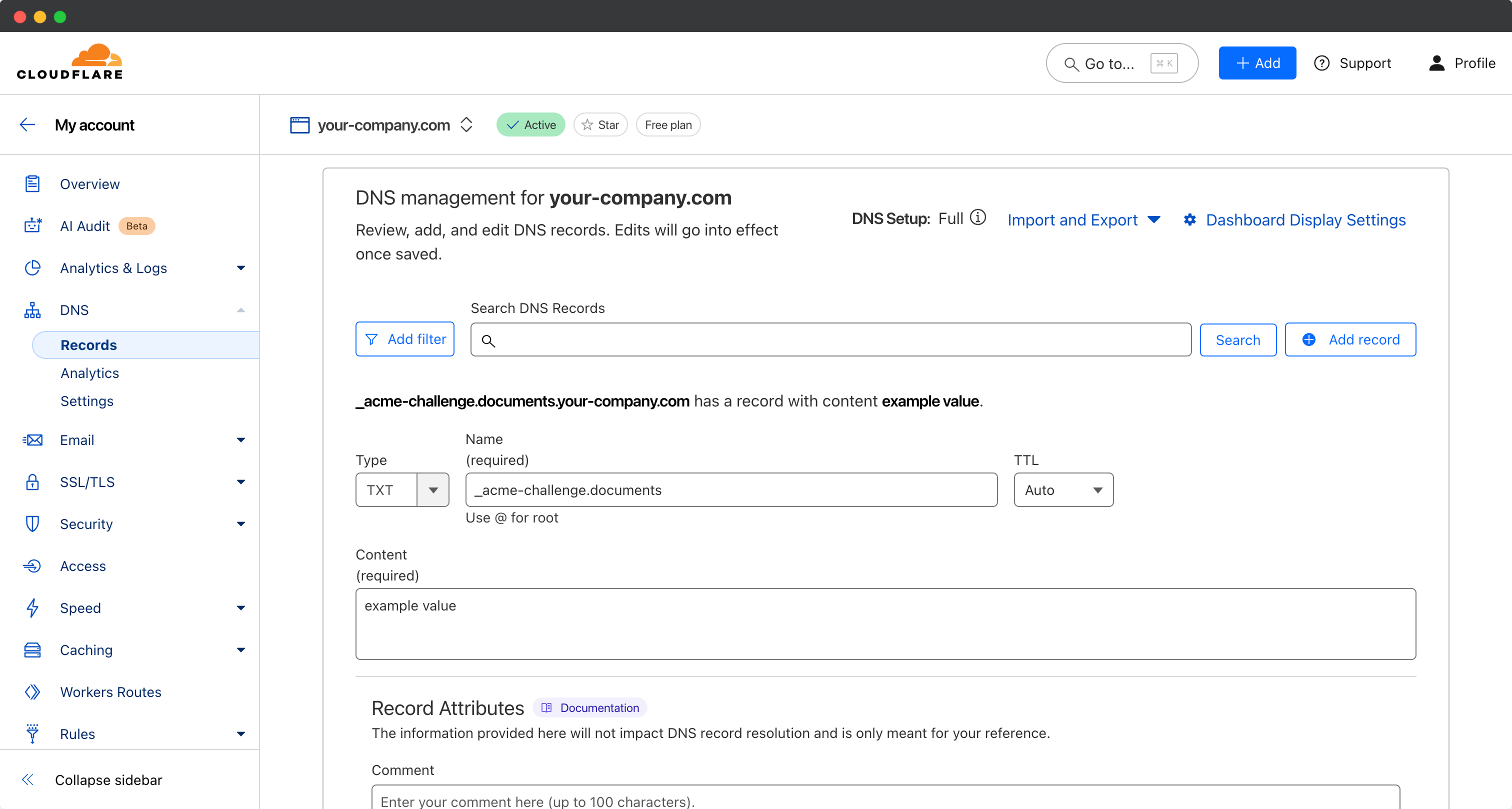 Cloudflare DNS Provider TXT settings example Cloudflare DNS Provider TXT settings example