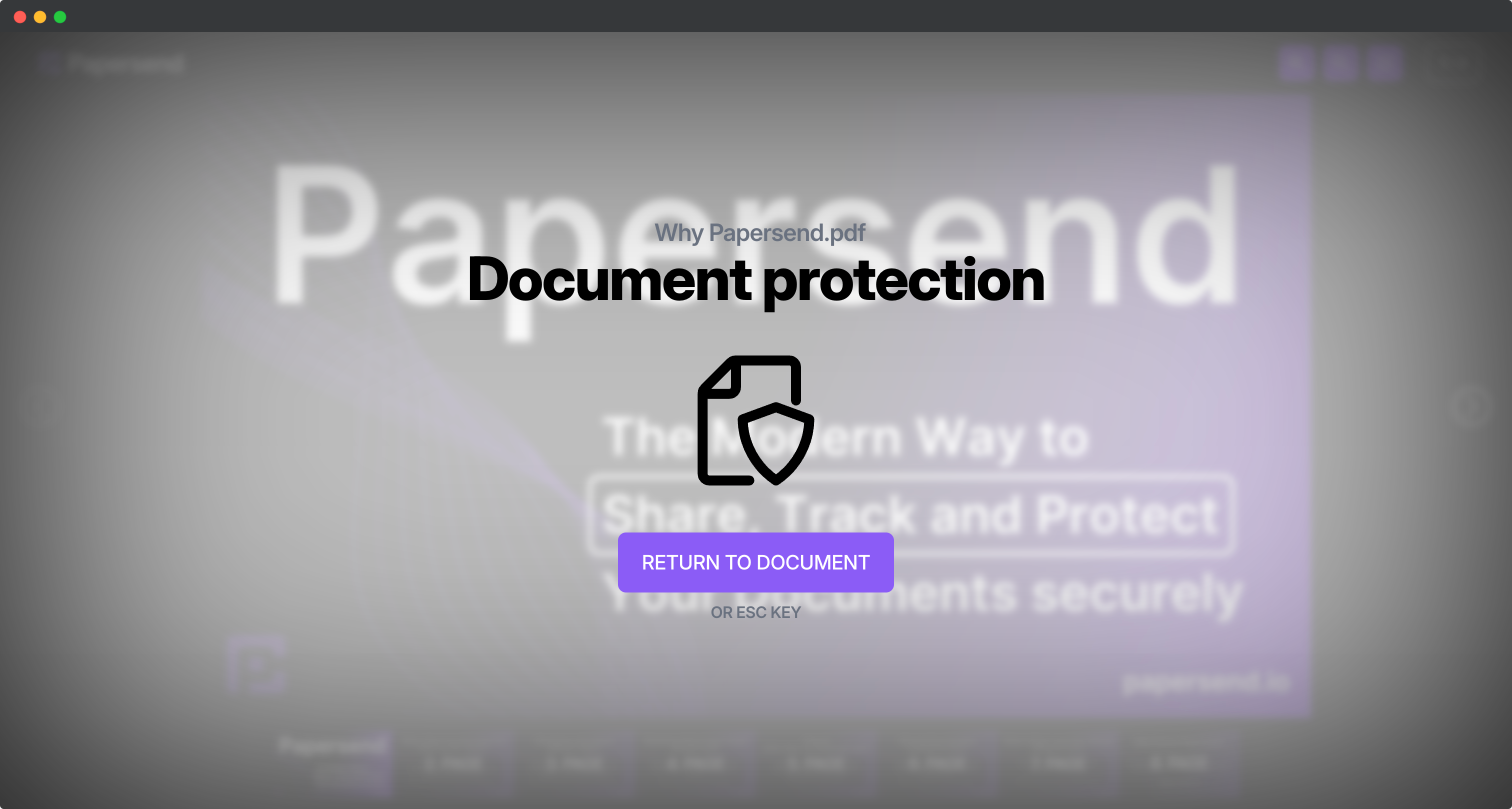 Papersend Document Protection from Viewer Perspective